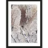 Art Print Curly Soft Coral