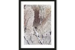 Art Print Curly Soft Coral