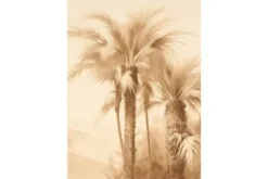 Art Print Desert Mirage
