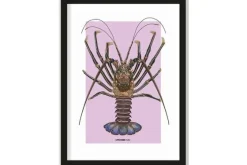 Art Print Langosta