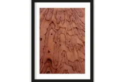 Art Print Layered Pink Brains