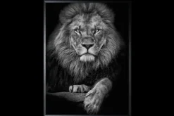 Art Print Leeuwenkop SHB634-TU0