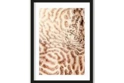 Art Print The Brains of the Sea