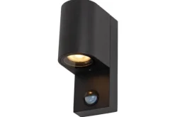 Buitenlamp Zaro IR