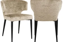 Eetkamerstoel 212564 FR Desert Fusion Taylor