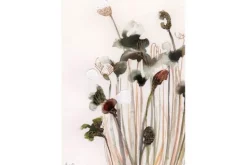 Glasschilderij Pastel Flowers