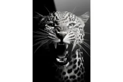 Glasschilderij Rawr Cheetah