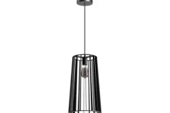 Hanglamp 05-HL4186-30  Blackbird | ETH