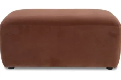 Hocker  Icarus