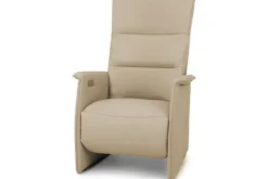 Relaxstoel Aster