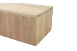 Salontafel Established