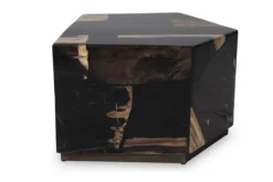 Salontafel Petrified Wood Medium 706818 Rayn