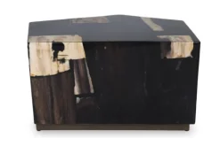 Salontafel Petrified Wood Medium 706818 Rayn