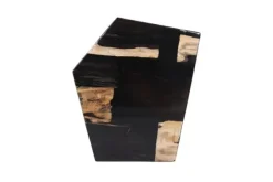 Salontafel Petrified Wood Medium 706818 Rayn