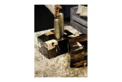 Salontafel Petrified Wood Medium 706818 Rayn