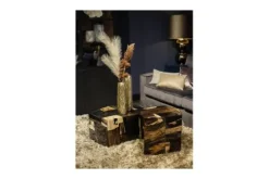 Salontafel Petrified Wood Medium 706818 Rayn