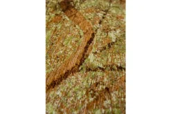 Vloerkleed Green Meadows 9320 Cities | Louis de Poortere
