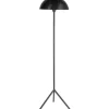 Vloerlamp Zwart YS-22.124 Globe
