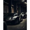 Wandkleed Luxury Drive