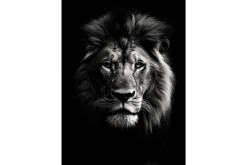 Wandkleed Mighty Lion