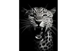 Wandkleed Rawr Cheetah