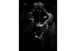Wandkleed Rawr Panther